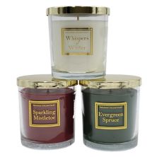 Holiday Home Collection Whispers of Winter, Sparkling Mistletoe, & Evergreen Spruce Candle Jar 3-piece Set LumaBase