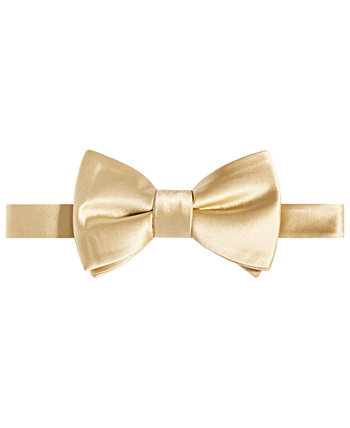 Men's Purple & Gold Solid Bow Tie Tayion Collection