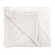 Товары для пеленания ADEN AND ANAIS Plush Baby Blanket ADEN AND ANAIS