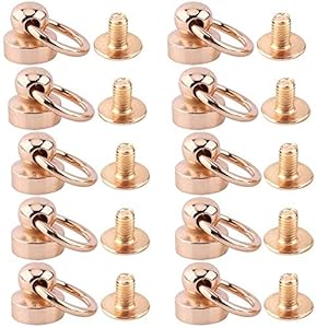 Garosa 10Pcs Brass Rivet Studs Screw Back Round Head Ring Leather Craft Nipple Shape Accessories Decorations DIY for Belt Wallet Handbag,Rivet Tool Garosa