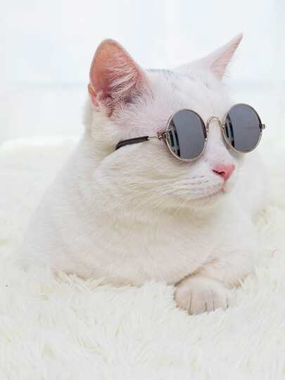 1шт круглые солнечные очки для кошек SHEIN