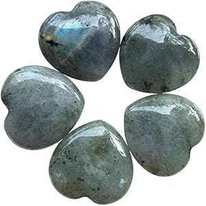 5Pcs Natural Black Obsidian Crystal Love Heart Stone, Polished Palm Pocket Stones Healing Therapy Chakra Balancing 1 Inch(25mm) Fekuar