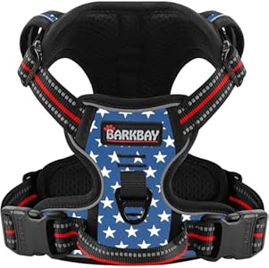 BARKBAY Dog Harness No Pull for Small Dogs - Adjustable, Reflective, Comfortable, No Choke, Heavy-Duty - Perfect for Outdoor Training, Walking, and Hiking - Strong & Durable - S & Black Barkbay