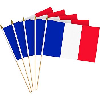 G128 8x12in 30pk France Printed 150d Polyester Handheld Stick Flag G128