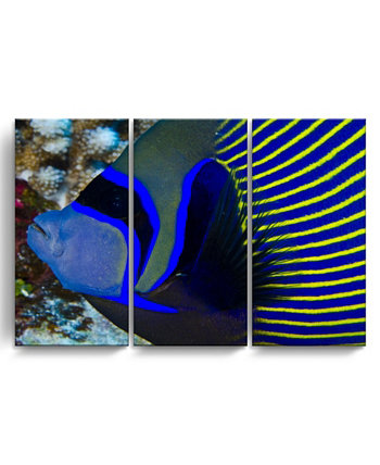 Набор из 3-х частей Underwater Bleus в обертке из холста Sea Life Wall Art Set, 24 "x 36" Ready2HangArt