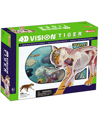 Модель анатомии тигра 4D Vision 4D Master