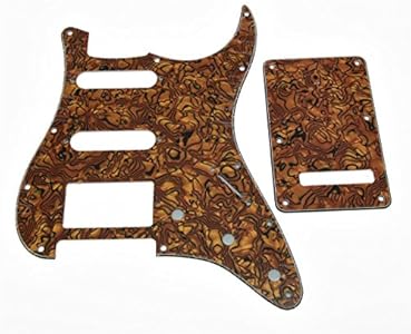 KAISH 11 Hole ST/Strat Style HSS Pickguard with ST Back Plate Tremolo Trem Cover for USA/Mexico Stratocaster/Strat Abalone Pearl KAISH