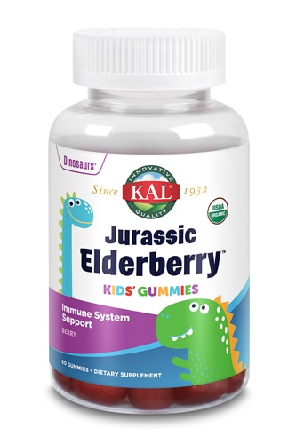 Jurassic Elderberry™ Kids Gummies Berry — 60 жевательных конфет KAL