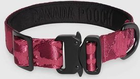 Canada Pooch Utility Dog Collar Canada Pooch