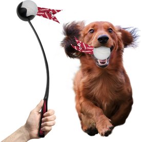 Littlearth Ball Launcher Dog Toy Littlearth