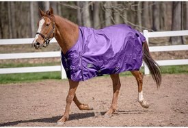 TuffRider 600 D Comfy Winter Standard Neck Horse Turnout Sheet TuffRider