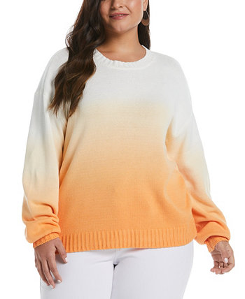 Plus Size Ombre Pullover Sweater ELLA rafaella