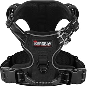 BARKBAY Dog Harness No Pull for Small Dogs - Adjustable, Reflective, Comfortable, No Choke, Heavy-Duty - Perfect for Outdoor Training, Walking, and Hiking - Strong & Durable - S & Black Barkbay