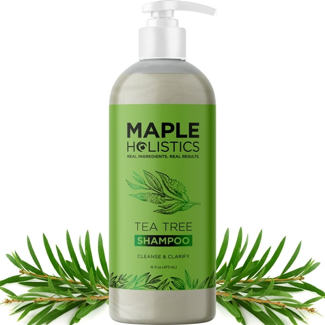 Tea Tree Oil Shampoo Sulfate Free Shampoo - Maple Holistics Tea Tree Oil Dry Scalp Shampoo For Oily Hair with Rosemary - Scalp Care Hydrating Shampoo for Women & Men with Natural Essential Oils Maple Holistics