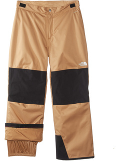Утепленные брюки Freedom (маленькие дети/большие дети) The North Face