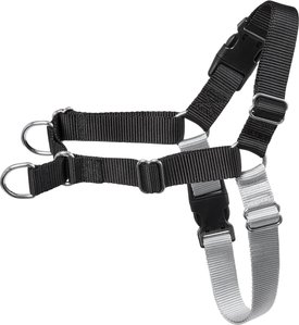 Frisco Basic No Pull Harness Frisco