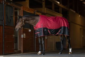 TuffRider 1200D Comfy Fit RipStop Medium Weight Winter Horse Turnout Blanket TuffRider