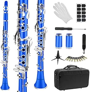 Soulmate Clarinet, B Flat Clarinet for Beginner Student Adults 17 Nickel-plated Keys Clarinet Set with 2 Barrels Hard Case 10 Reeds and Clarinet Cleaning Kit, Professional Black Clarinet Soulmate