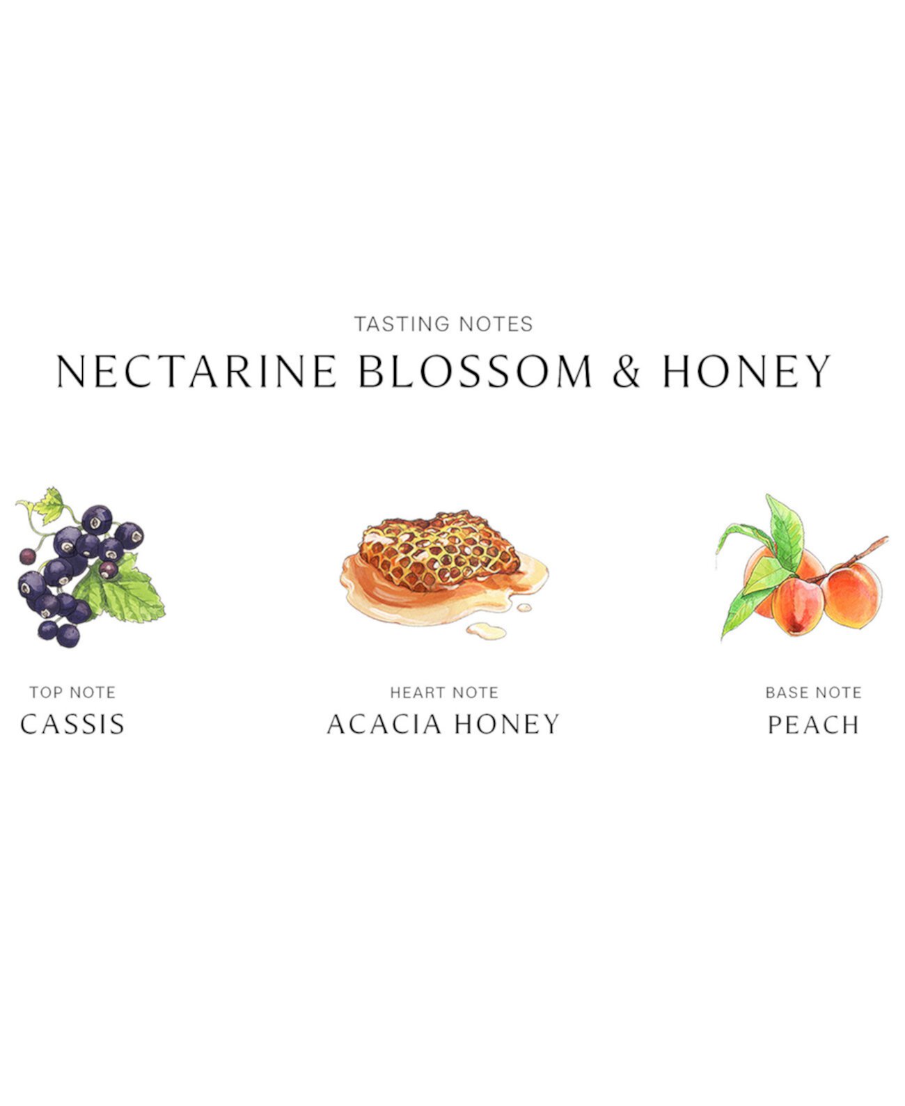Nectarine blossom honey