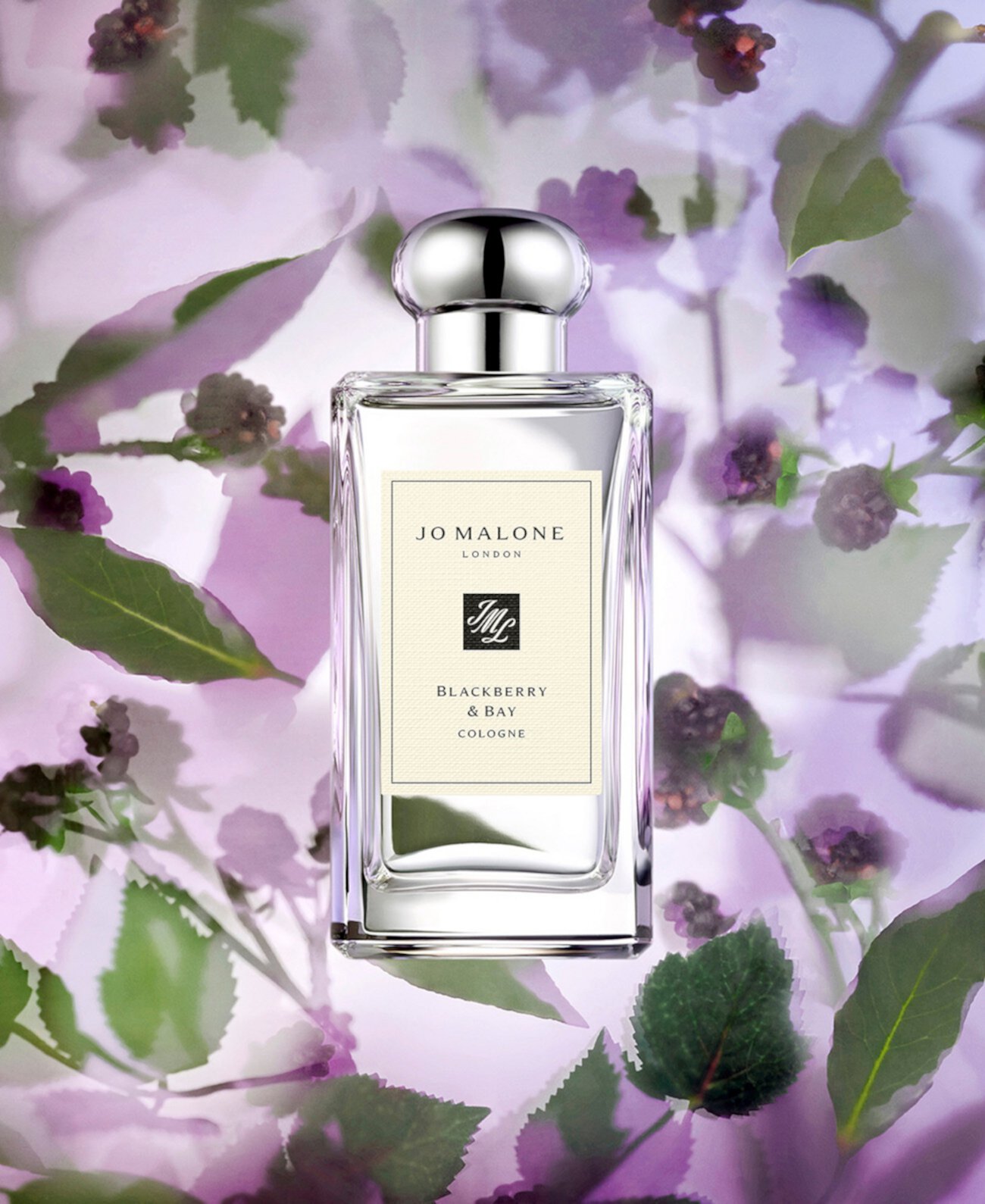 Джо малон блэкберри. Jo Malone BLACKBERRY Bay Cologne. Джо Малон духи блэкберри. Джо Малон ежевика. Jo Malone BLACKBERRY Bay Cologne 100ml.