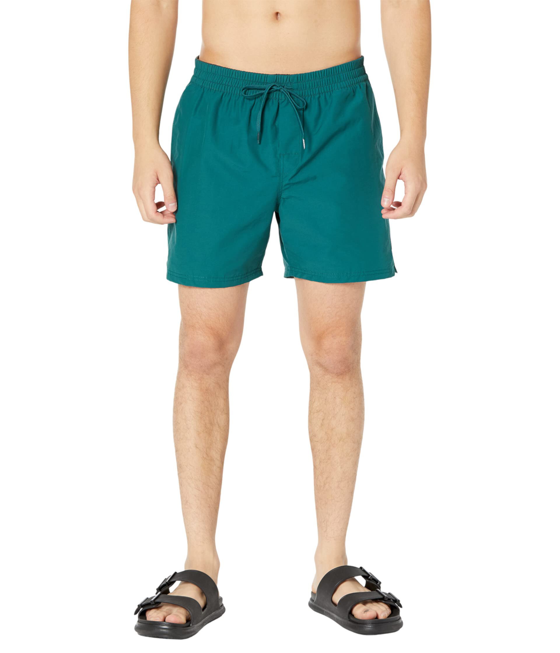 Primary Volley II Boardshorts Vans