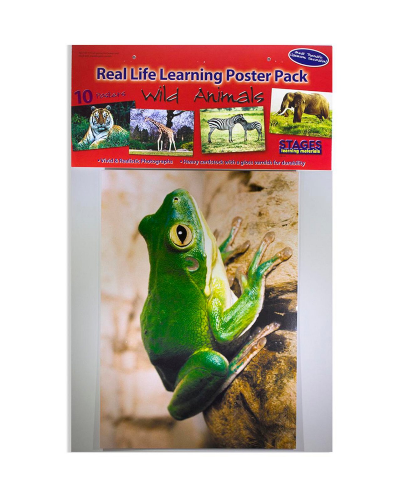 Real Photo Wild Набор плакатов для животных Stages Learning Materials