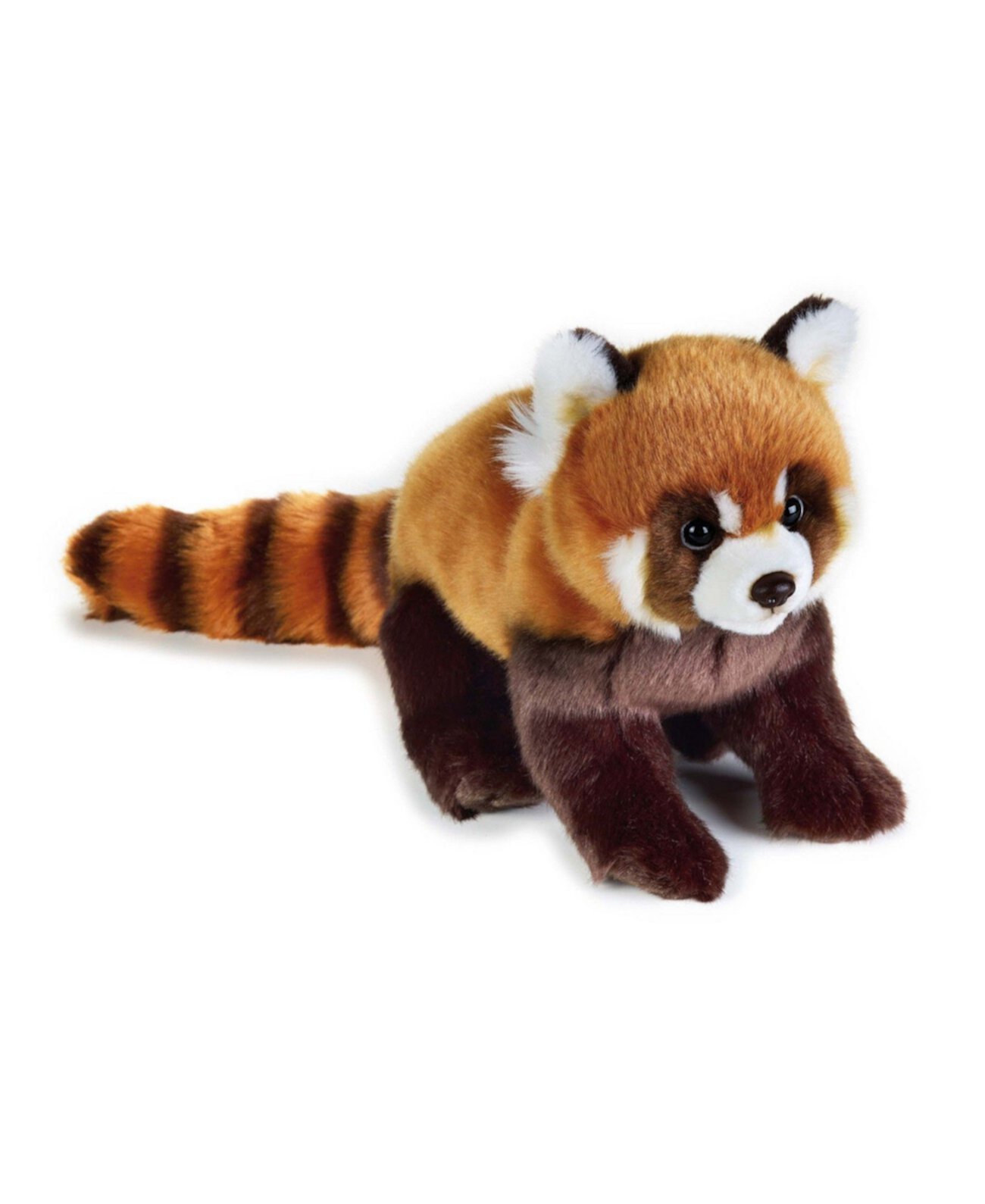 Мягкие игрушки животных купить. Игрушки National Geographic Панда. Red Panda игрушка. Плюшевая малая Панда. Глазастик красная Панда игрушка.