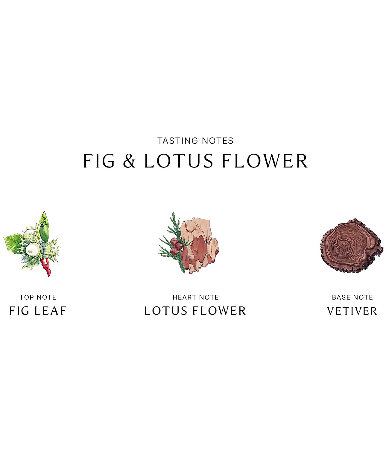 Fig & Lotus Flower Одеколон, 1 унция. Jo Malone London