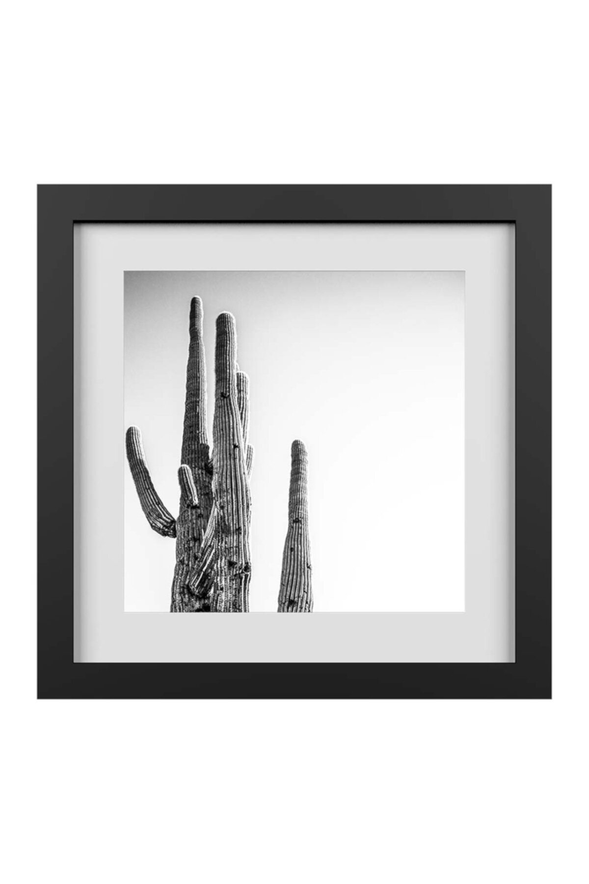 Жикле в обрамлении и матовом жикле Desert Beauty (18 x 18 дюймов) PTM Images