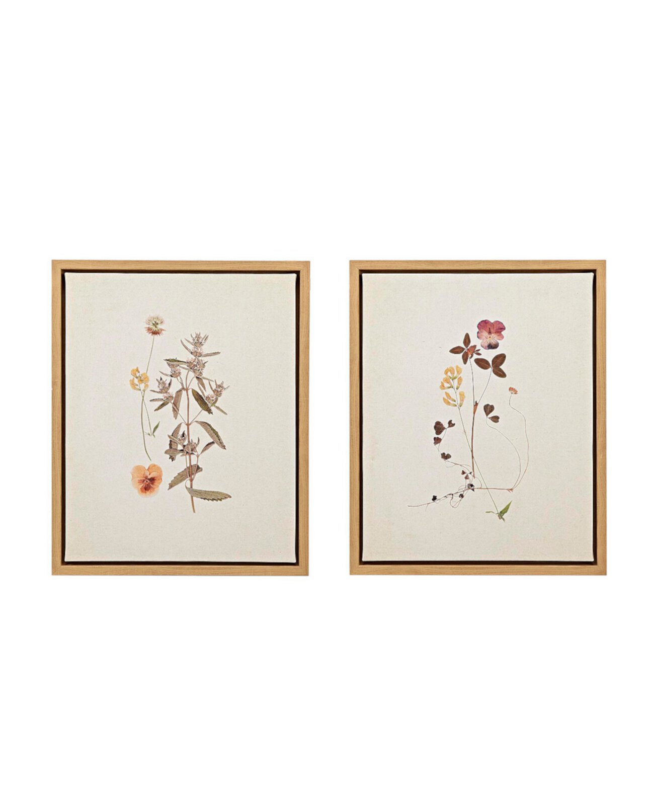 Французский гербарий Марты Стюарт Набор из 2 предметов из льняной холщовой ткани в рамке Martha Stewart