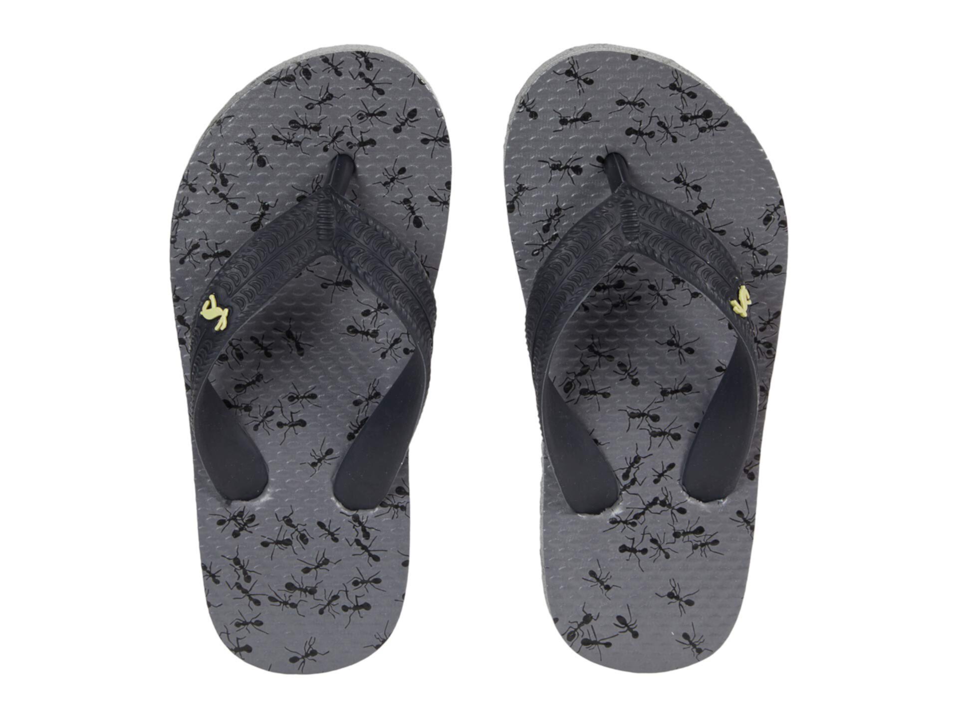 Шлёпанцы и вьетнамки Joules Для мальчиков Flip-Flop Joules