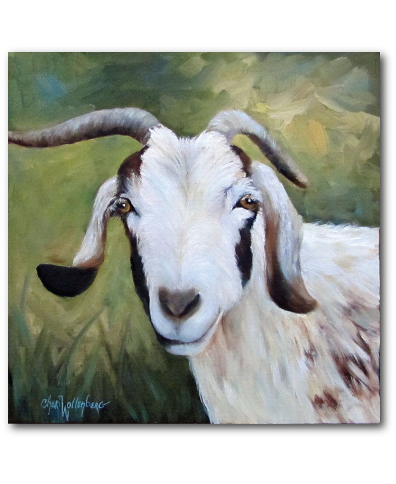 Goat Paint