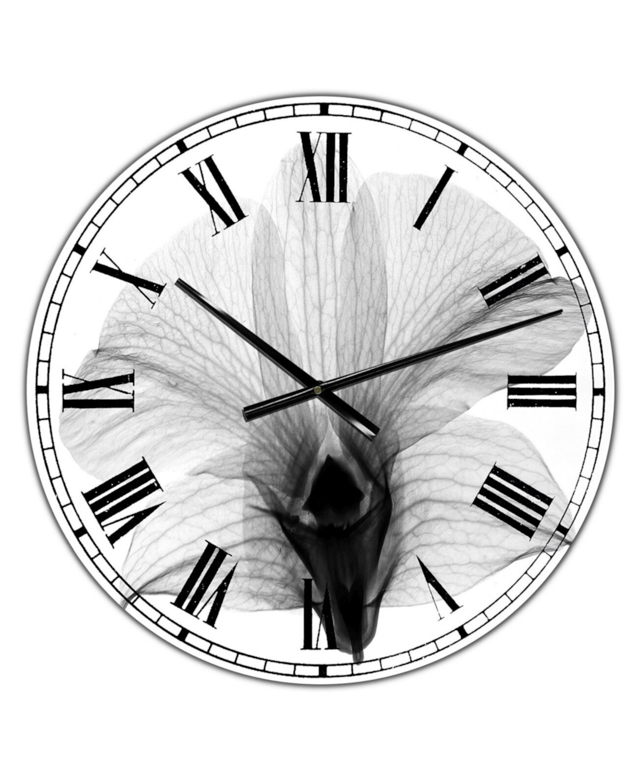 Dendrobium On Back X-Ray Orchid Настенные часы для большого коттеджа - 36 дюймов x 28 дюймов x 1 дюйм Designart