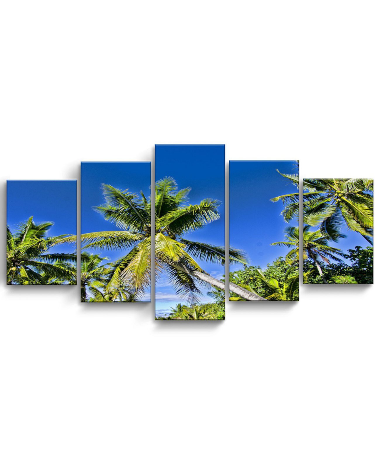 Набор для рисования прибрежных стен из 5 предметов на холсте Niue Palms, 30 "x 60" Ready2HangArt