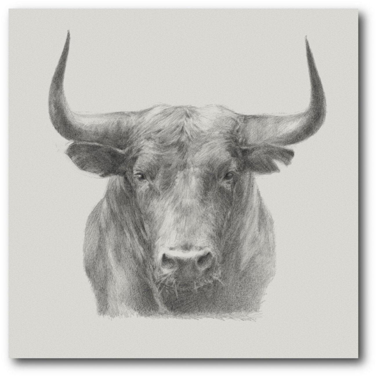 Black bull Art