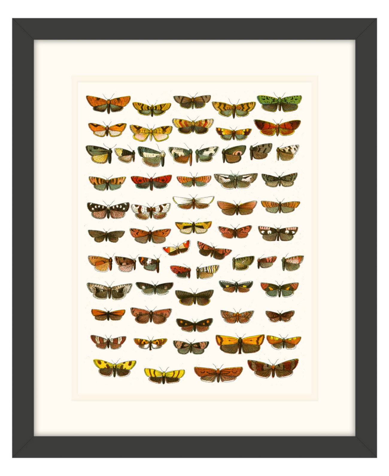 Картины с бабочками, которые я оформила в рамке из жикле, - 15 "x 18" x 2 " Melissa Van Hise