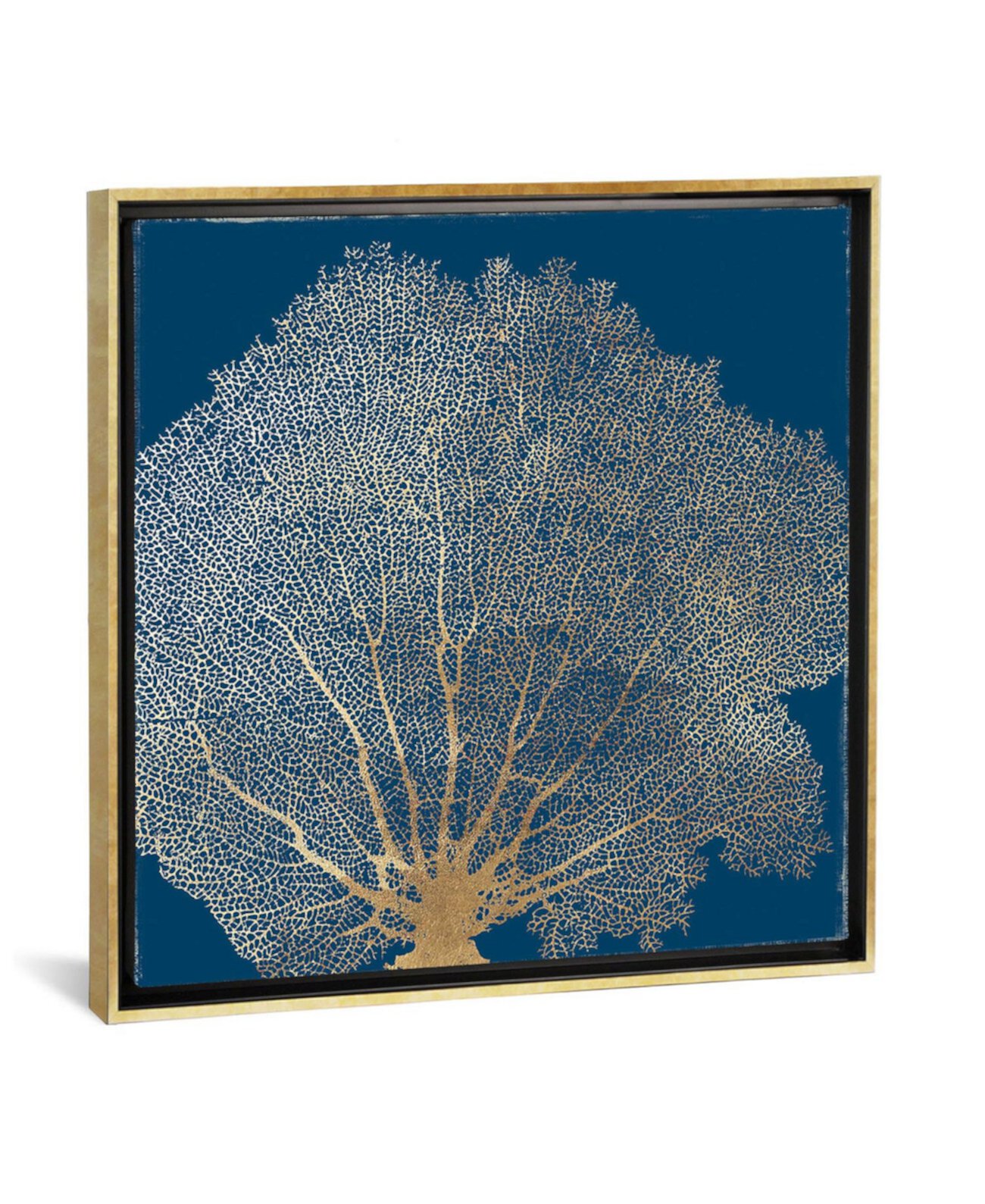 Золотой коралл III от Эйми Уилсон, принт на холсте, завернутый в галерею - 18 дюймов x 18 дюймов x 0,75 дюйма ICanvas