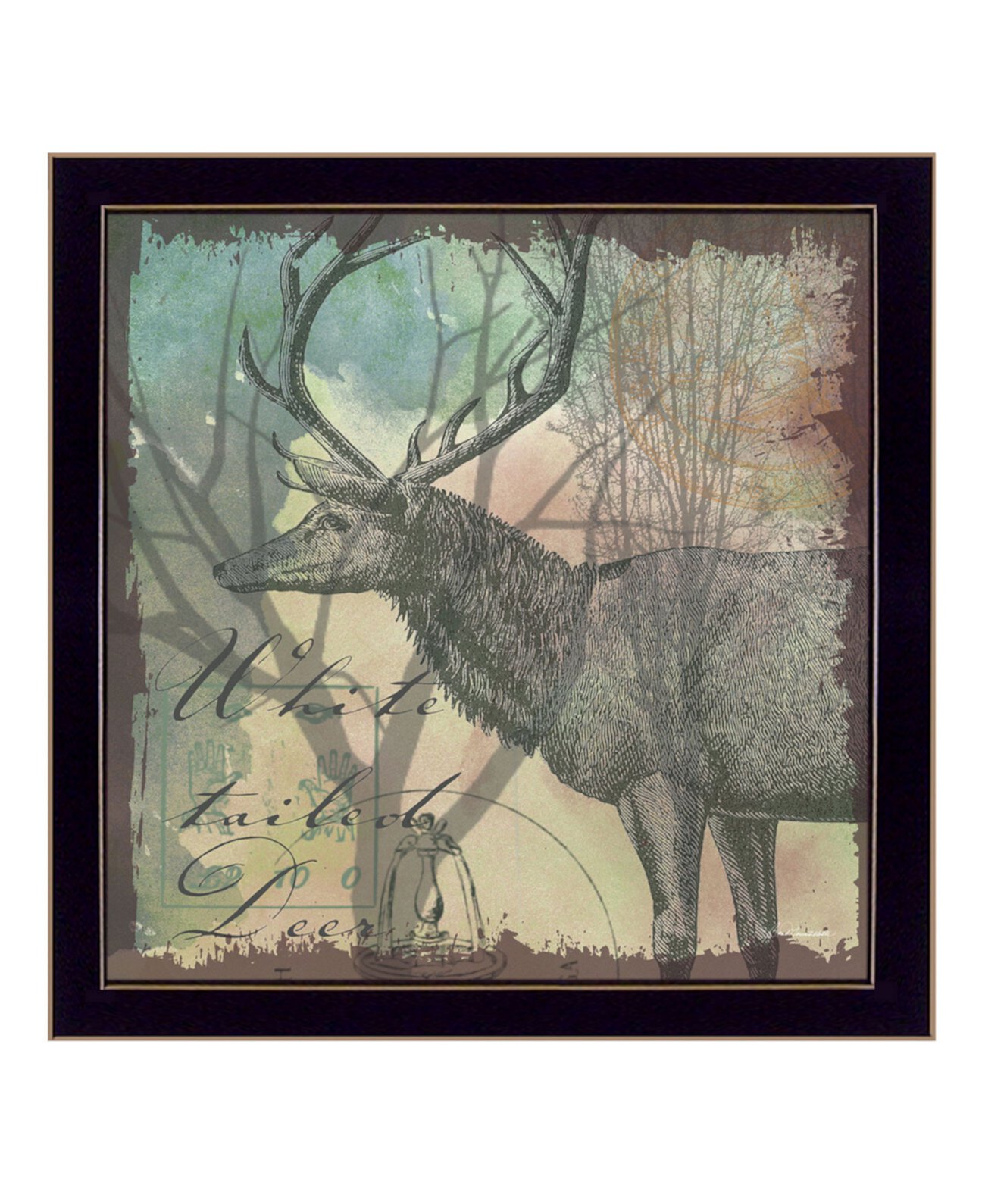 Deer By Barb Tourtillotte, настенные картины с принтом, готовые к развешиванию, черная рамка, 14 "x 14" Trendy Décor 4U