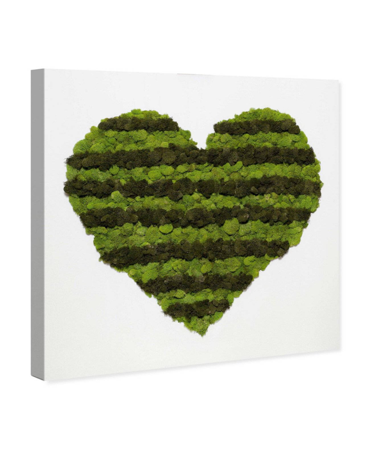 Heart of Moss Canvas Art, 43" x 43" Oliver Gal