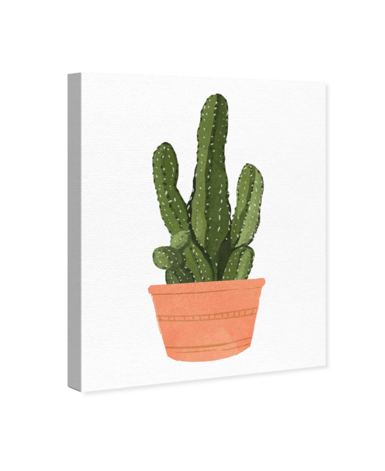 Cactus Coral III Canvas Art, 17" x 20" Oliver Gal