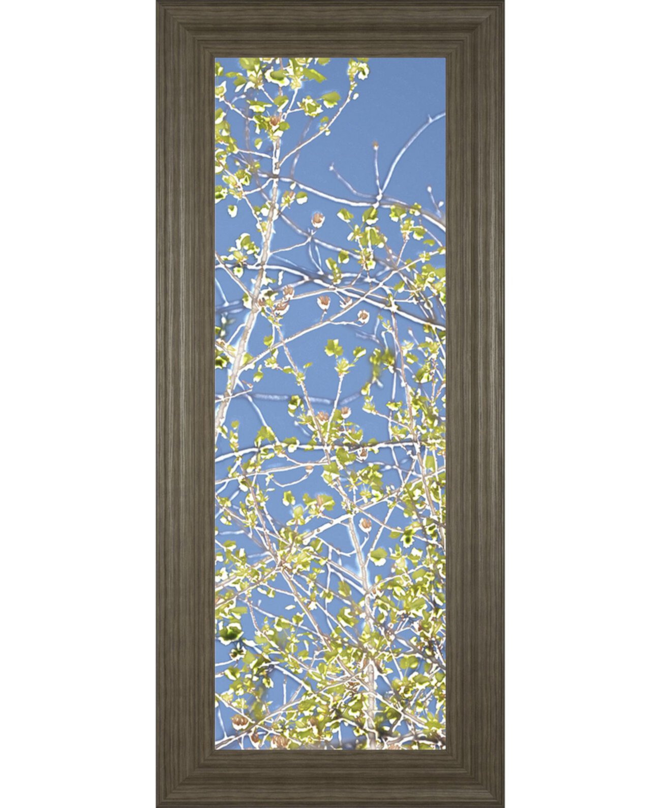 "Весна Тополя III". Автор: Шарон Чендлер. Настенная живопись в рамке с принтом - 18 "x 42" Classy Art