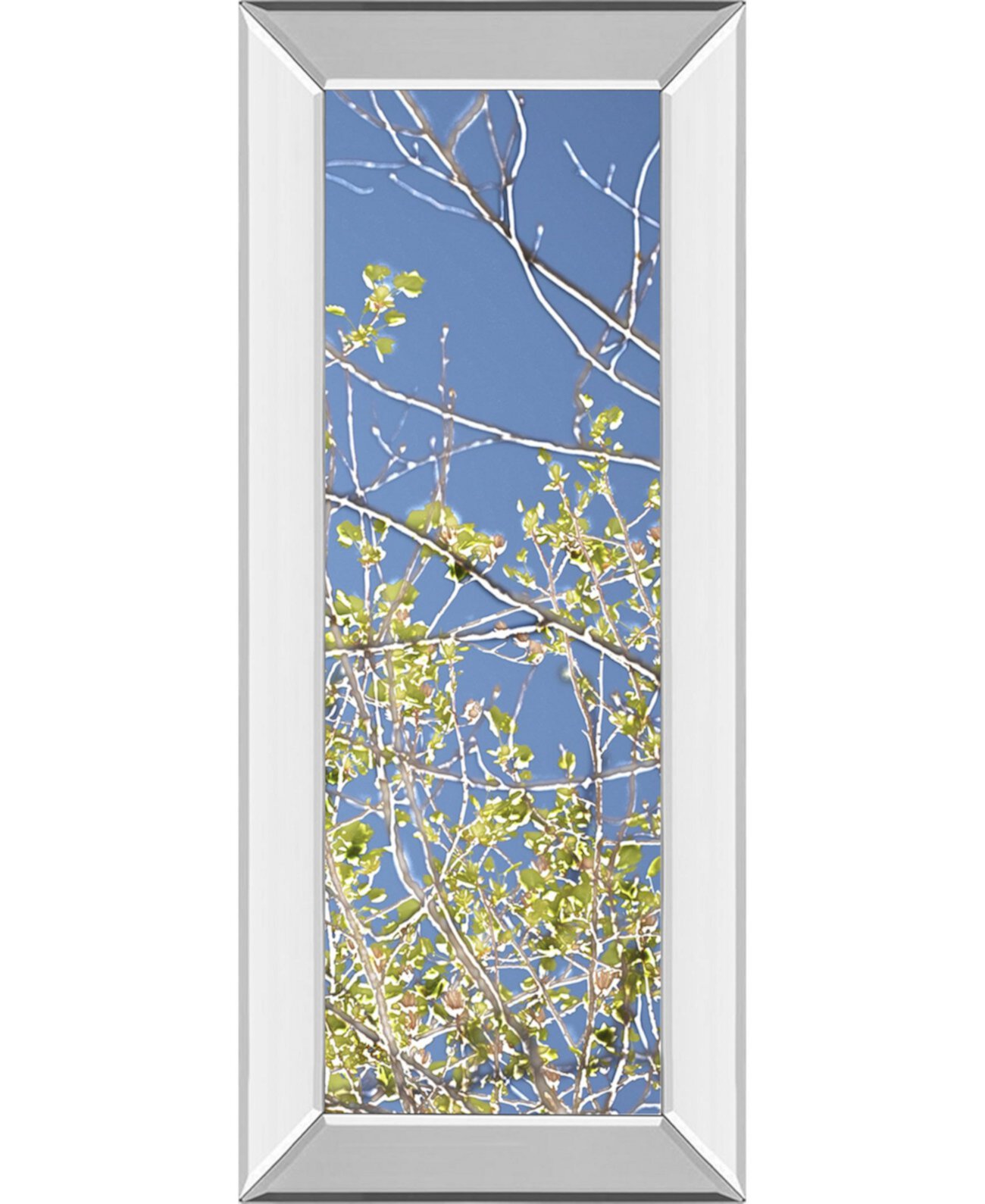 Spring Poplars IV. Автор: Шэрон Чендлер. Настенная живопись в зеркальной раме - 18 "x 42" Classy Art