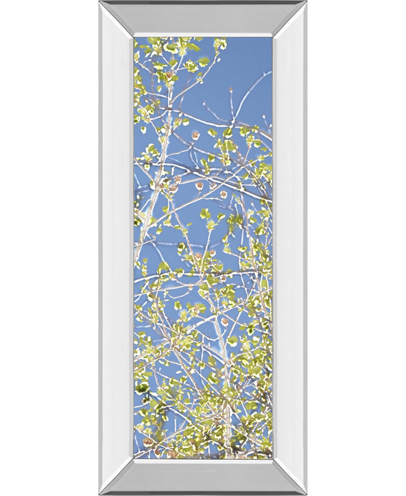 Spring Poplars III. Автор: Шэрон Чендлер. Настенная живопись в зеркальной раме - 18 "x 42" Classy Art