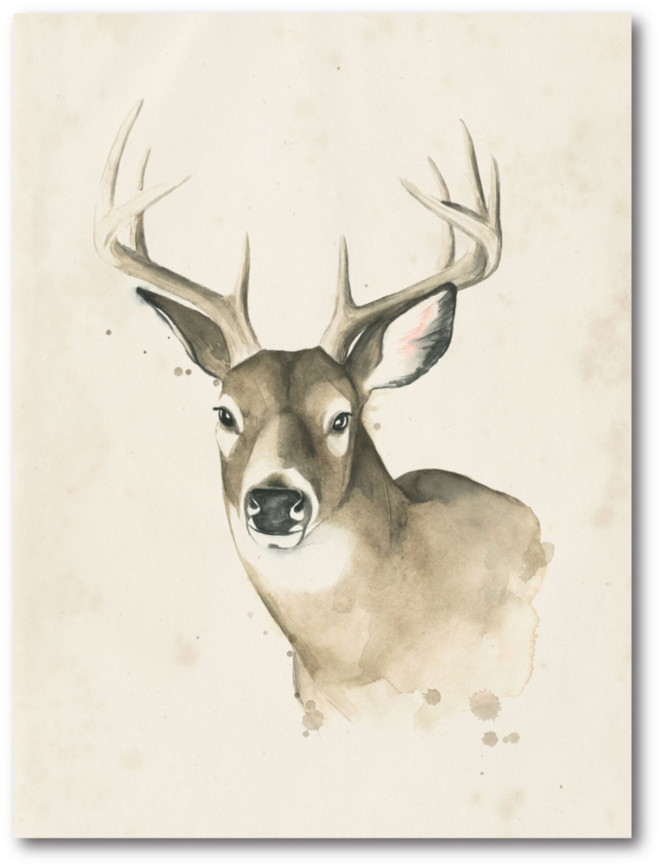 Картина на холсте Big Buck I, обернутая в галерею - 18 x 24 дюйма Courtside Market