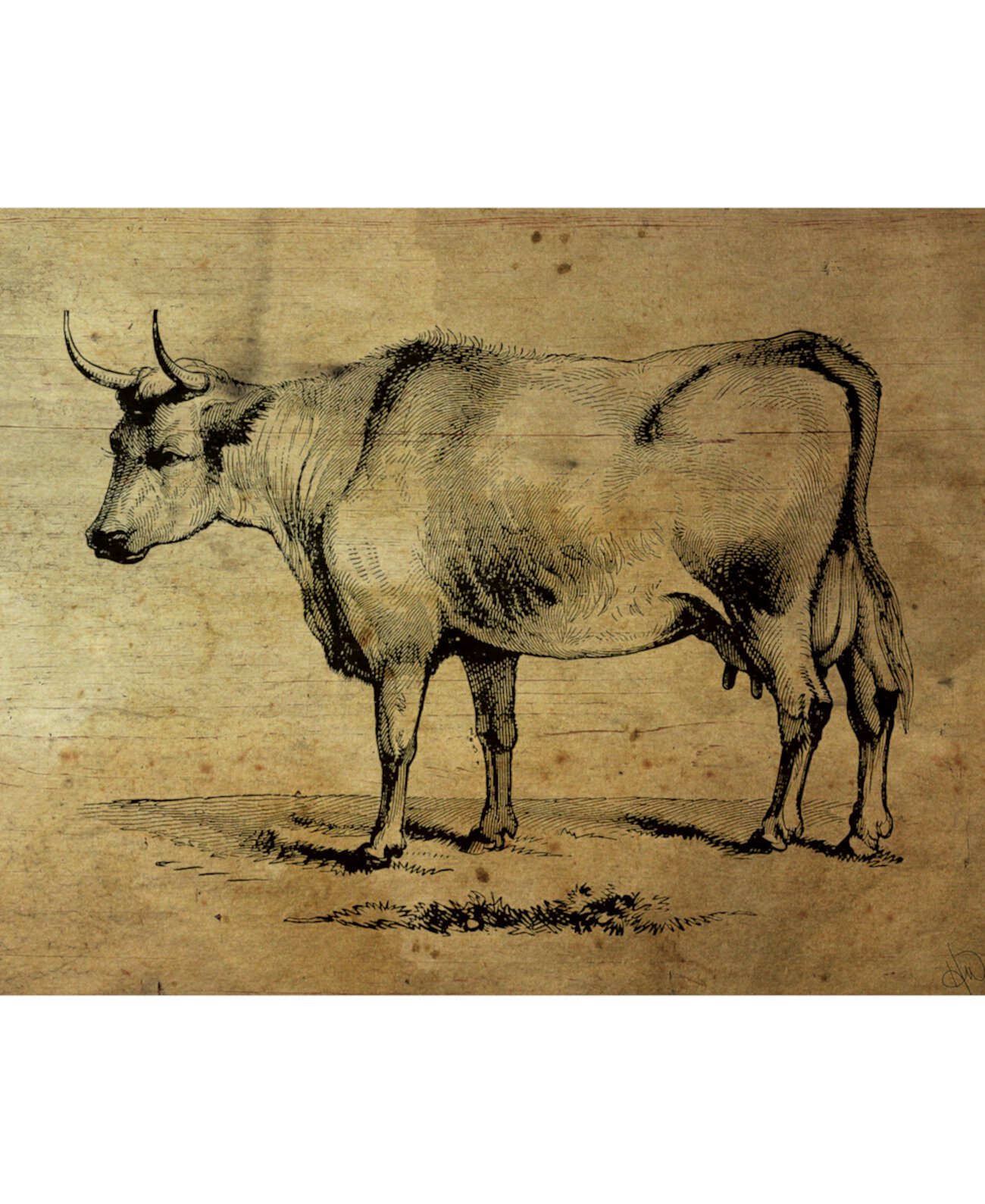 Рисунок коровы в деревенском стиле на деревянном узоре 24 "X 36" Картина на холсте Creative Gallery