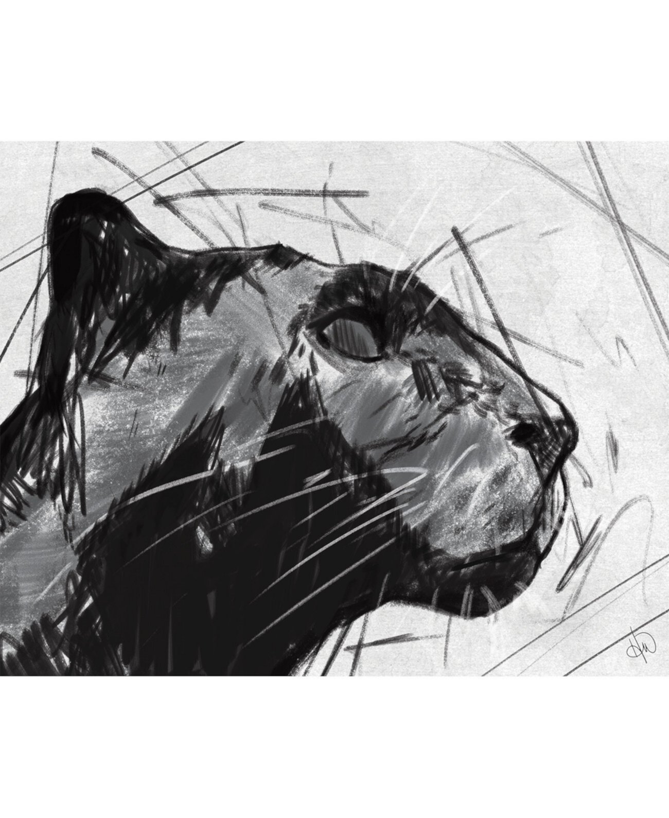 Портрет Черной Пантеры углем 20 "x 24" Художественная печать на металлической стене Creative Gallery