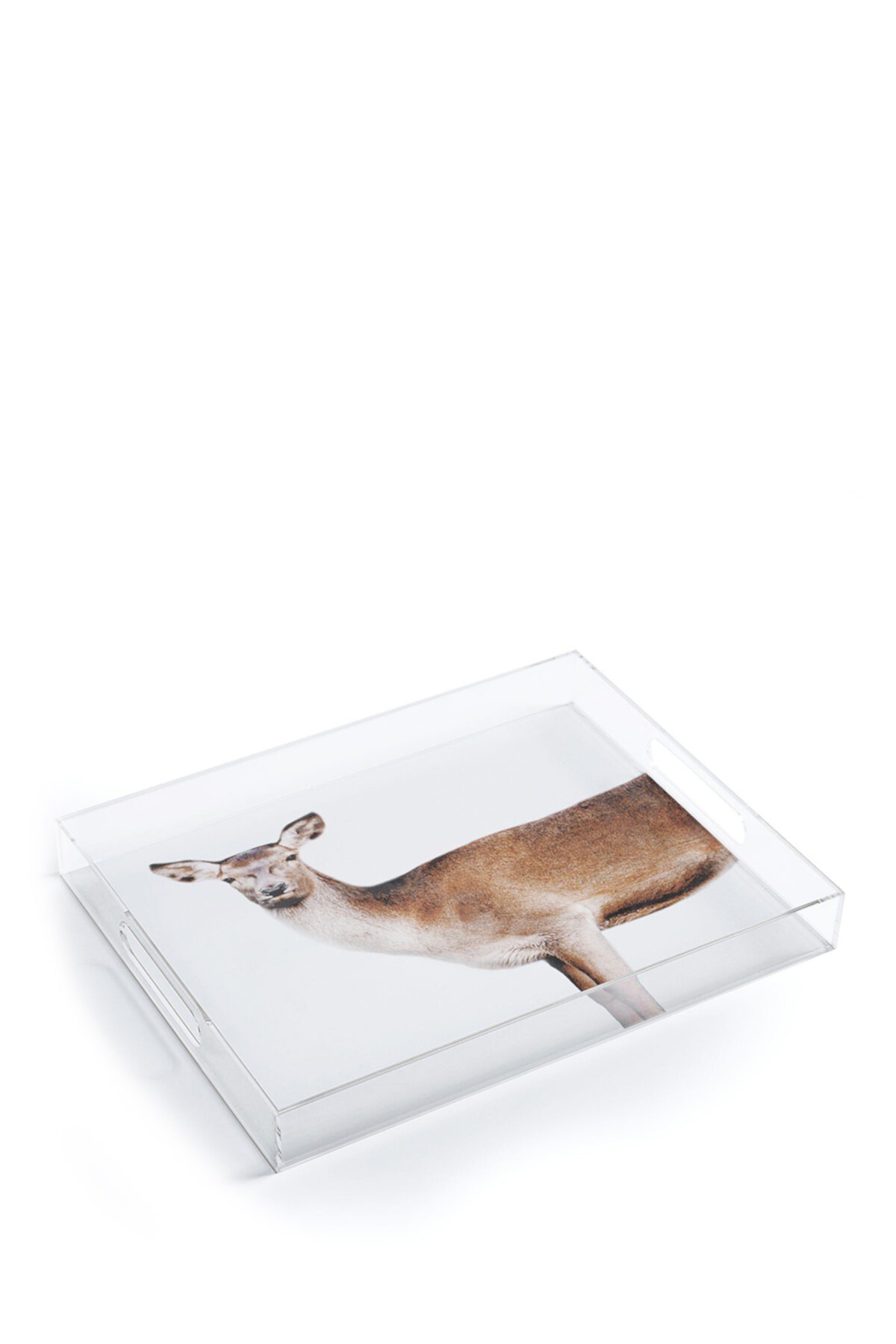 Emanuela Carratoni The Sweet Deer Acrylic Tray Deny Designs