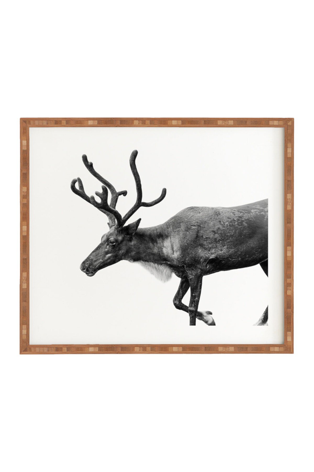 Magda Opoka Reindeer Photography Bamboo Framed Wall Art Deny Designs