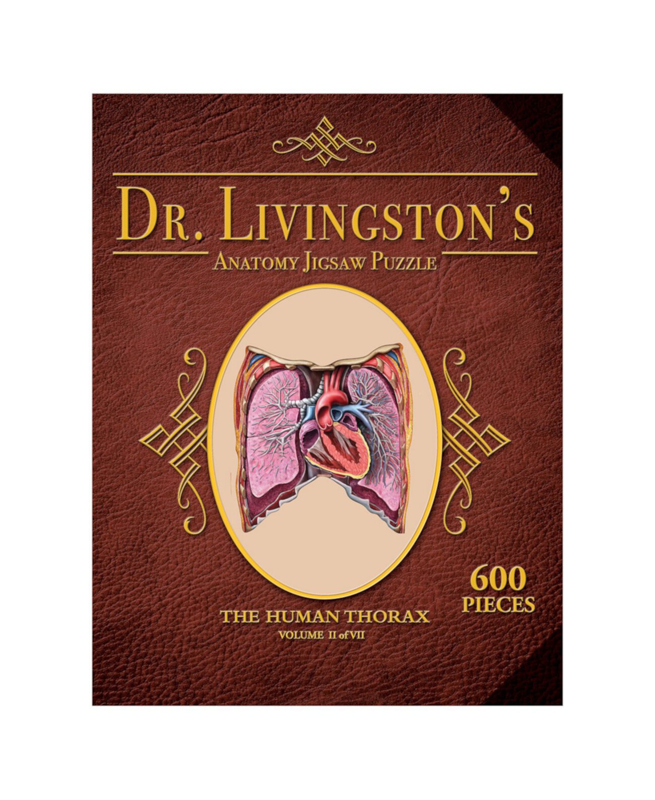 Пазлы по анатомии человека доктора Ливингстона - Грудная клетка человека MasterPieces