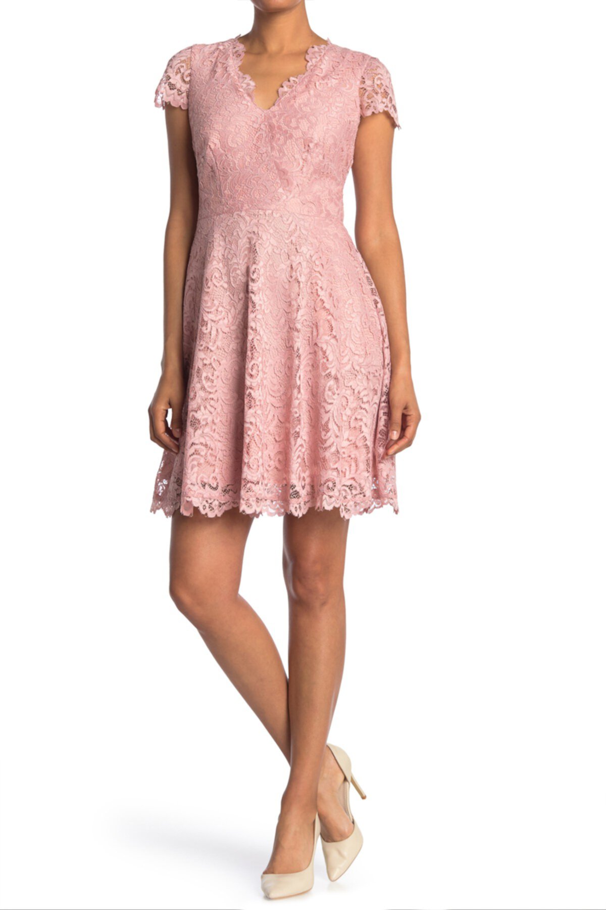 Lace Fit & Flare Scalloped Dress  Vince Camuto